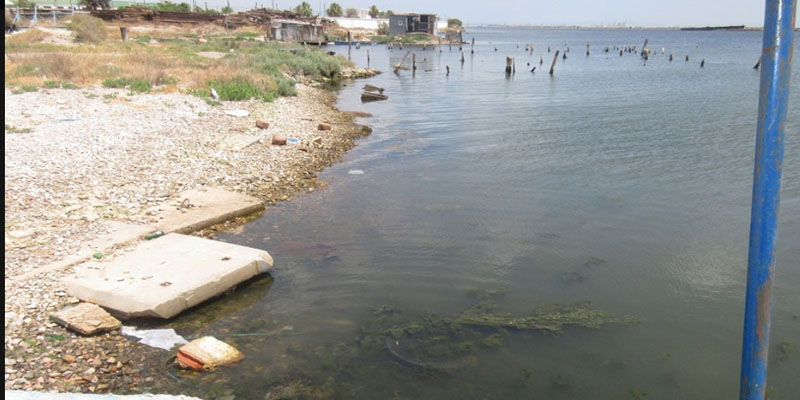 حقيقة وجود زيوت مستعملة وأسماك بمنطقة تونس البحرية: وكالة حماية المحيط توضح